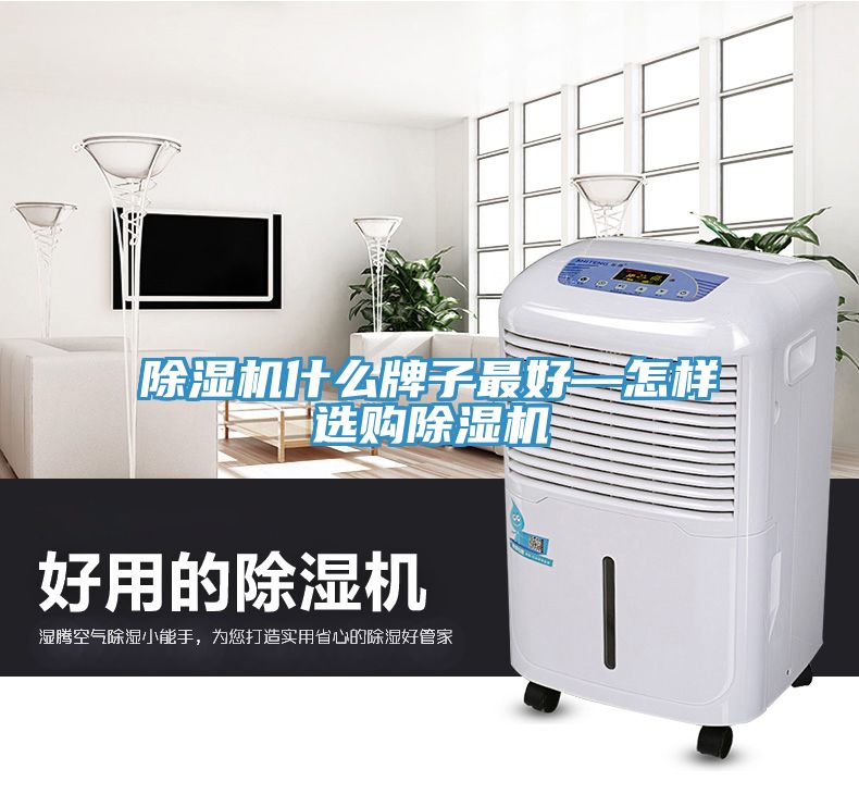 91看片网站什麽牌子最好—怎樣選購91看片网站