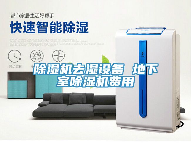 91看片网站去濕設備 地下室91看片网站費用