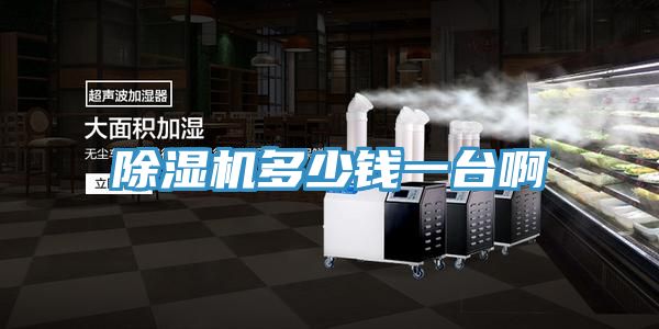 91看片网站多少錢一台啊