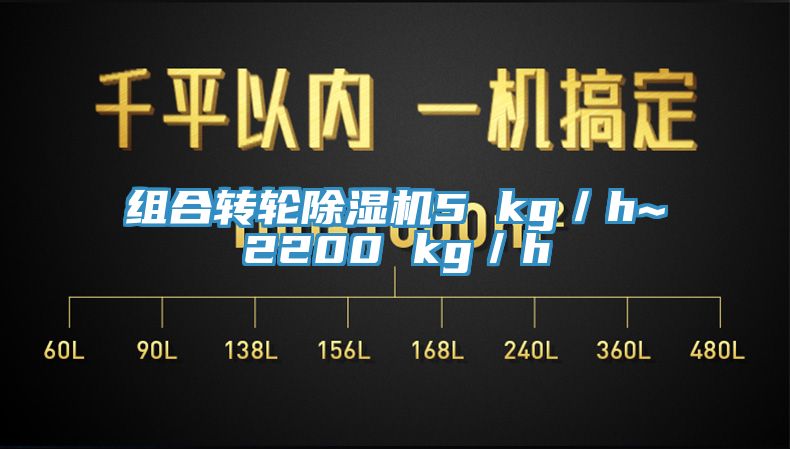 組合轉輪91看片网站5 kg／h~2200 kg／h