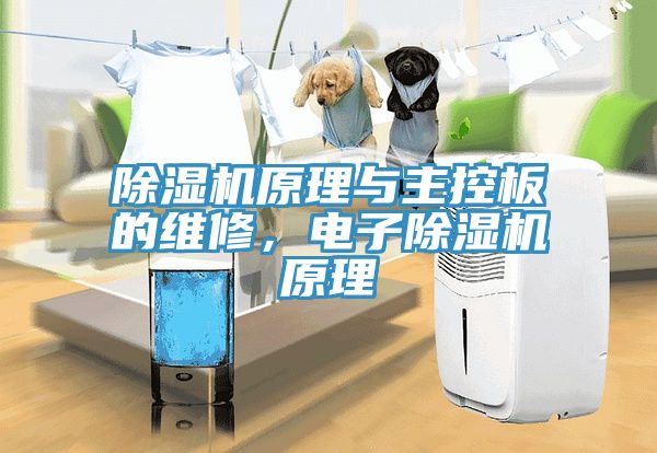 91看片网站原理與主控板的維修，電子91看片网站原理