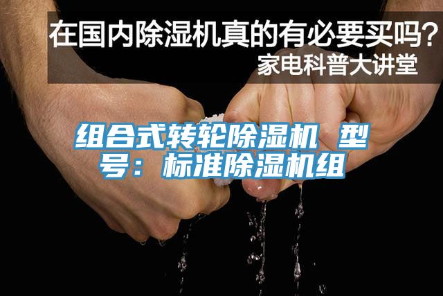 組合式轉輪91看片网站 型號：標準91看片网站組