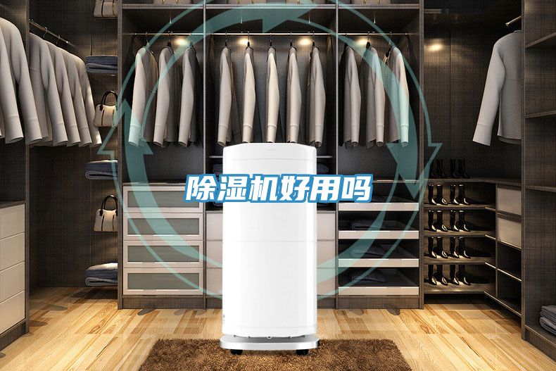 91看片网站好用嗎