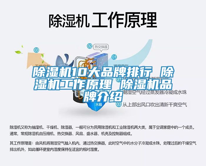 91看片网站10大品牌排行 91看片网站工作原理 91看片网站品牌介紹