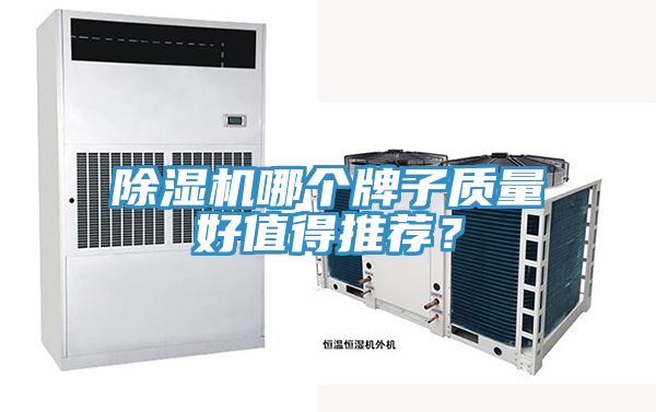 91看片网站哪個牌子質量好值得推薦？