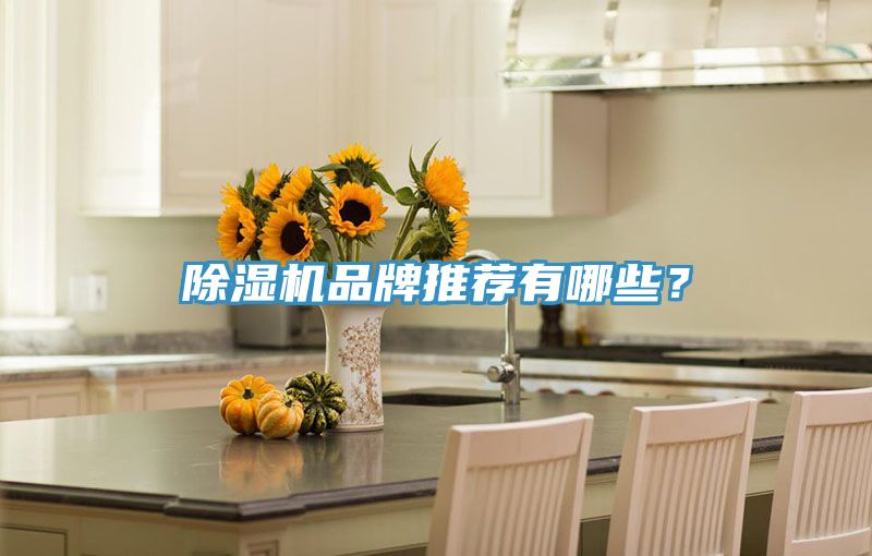 91看片网站品牌推薦有哪些？