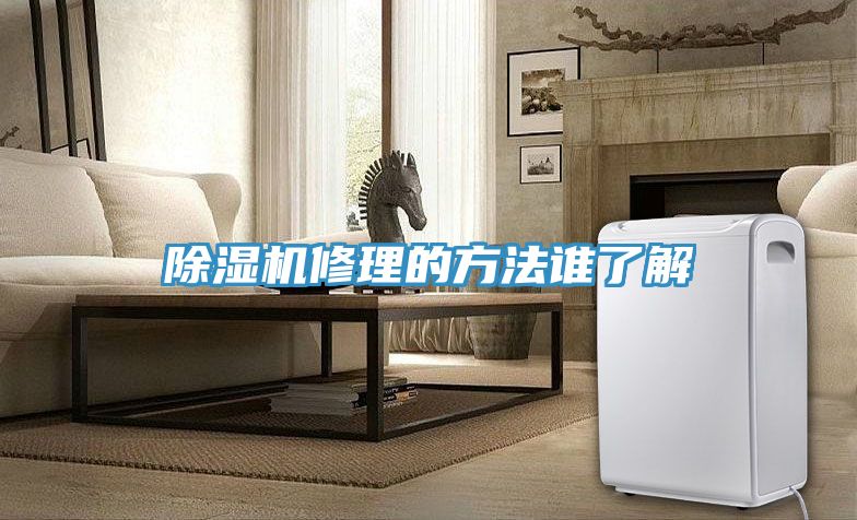 91看片网站修理的方法誰了解