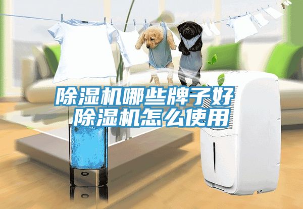 91看片网站哪些牌子好 91看片网站怎麽使用