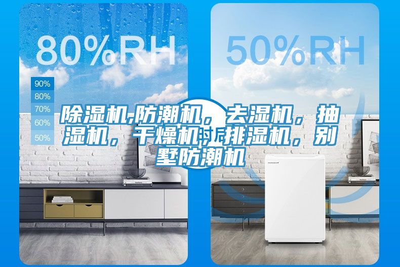 91看片网站,防潮機，去濕機，抽濕機，幹燥機，排濕機，別墅防潮機