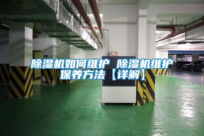 91看片网站如何維護 91看片网站維護保養方法【詳解】