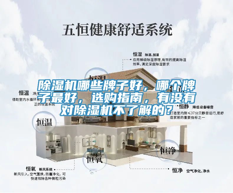 91看片网站哪些牌子好，哪個牌子最好，選購指南，有沒有對91看片网站不了解的？