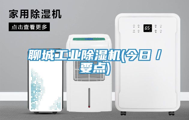 聊城工業91看片网站(今日／要點)