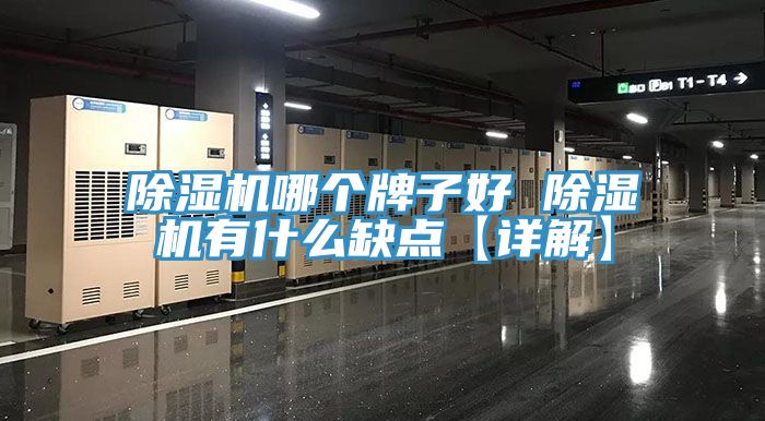 91看片网站哪個牌子好 91看片网站有什麽缺點【詳解】