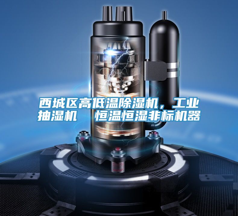 西城區高低溫91看片网站，工業抽濕機  恒溫恒濕非標機器