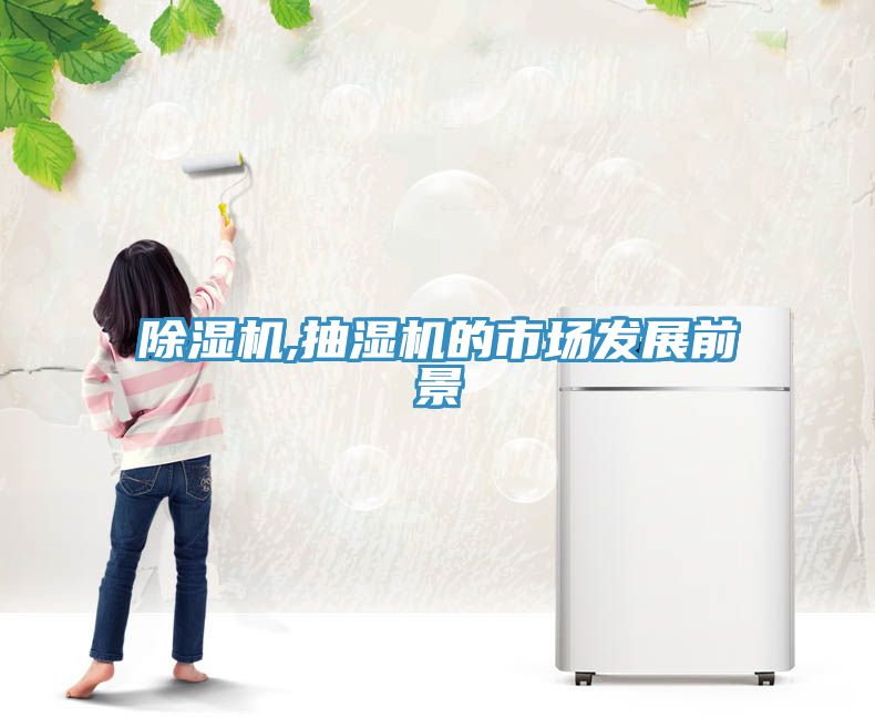91看片网站,抽濕機的市場發展前景