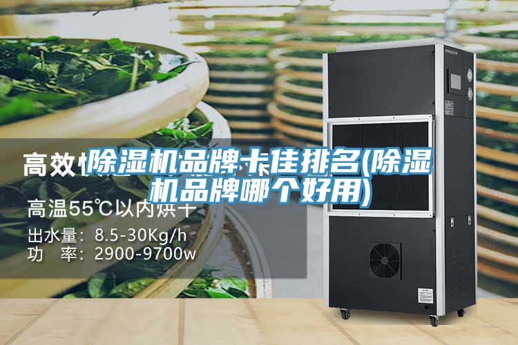 91看片网站品牌十佳排名(91看片网站品牌哪個好用)