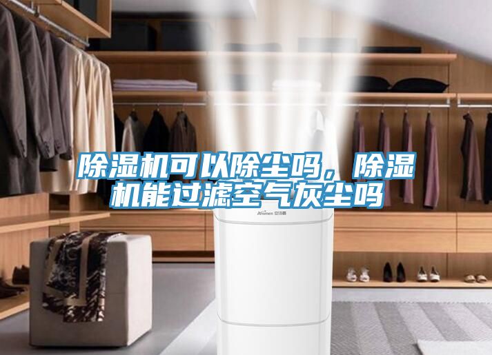 91看片网站可以除塵嗎，91看片网站能過濾空氣灰塵嗎