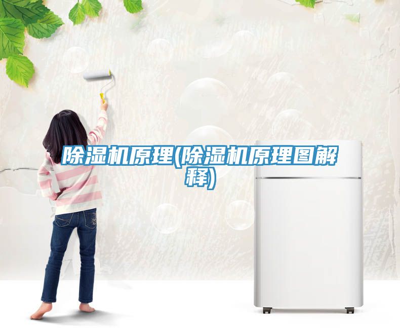 91看片网站原理(91看片网站原理圖解釋)