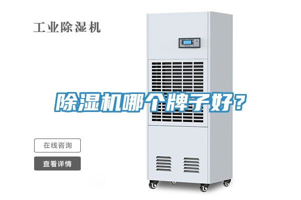 91看片网站哪個牌子好？