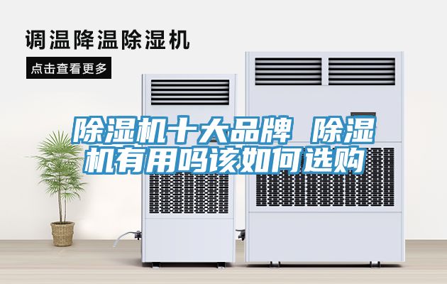 91看片网站十大品牌 91看片网站有用嗎該如何選購