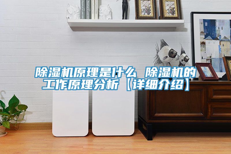 91看片网站原理是什麽 91看片网站的工作原理分析【詳細介紹】