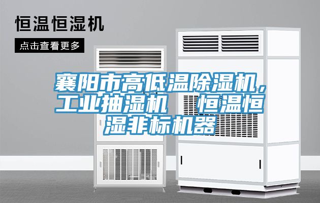 襄陽市高低溫91看片网站，工業抽濕機  恒溫恒濕非標機器