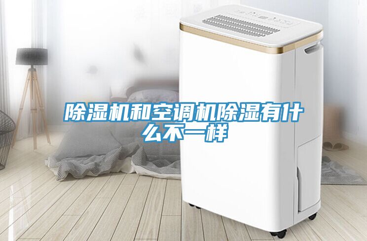 91看片网站和空調機除濕有什麽不一樣