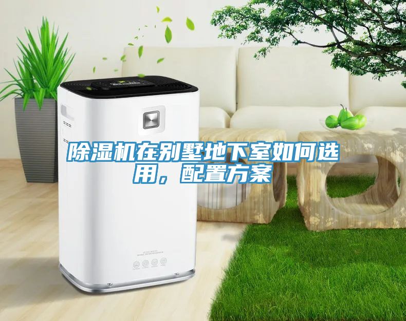 91看片网站在別墅地下室如何選用，配置方案