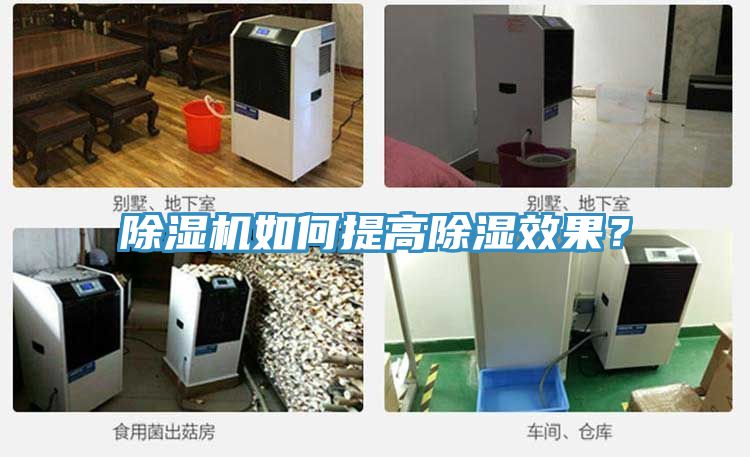 91看片网站如何提高除濕效果？