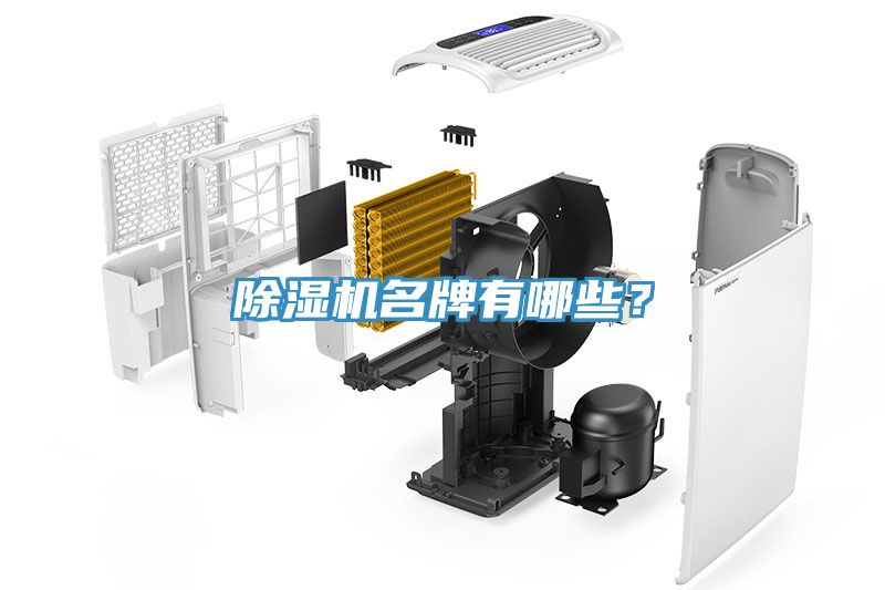 91看片网站名牌有哪些？