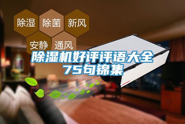 91看片网站好評評語大全75句錦集