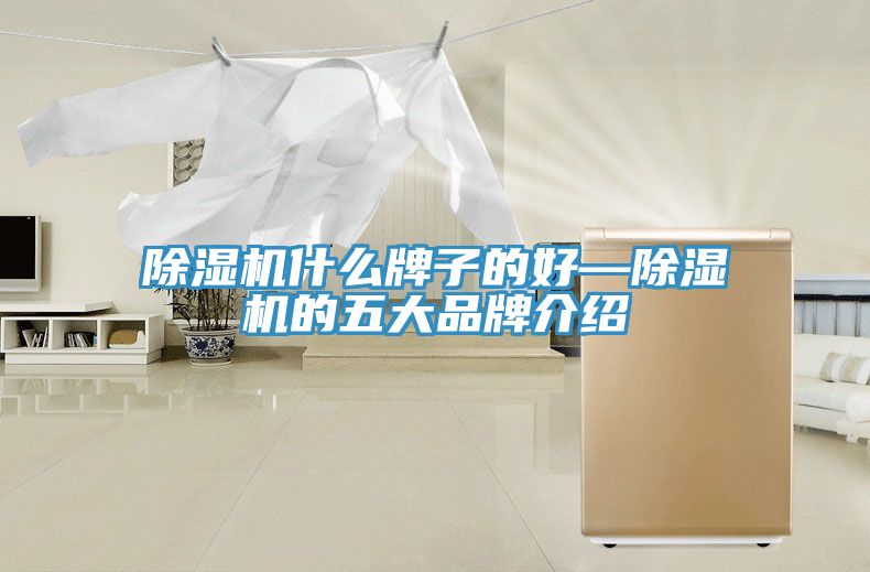 91看片网站什麽牌子的好—91看片网站的五大品牌介紹
