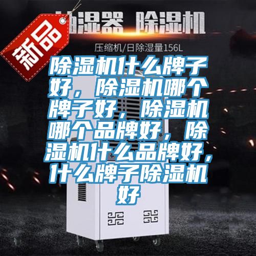 91看片网站什麽牌子好，91看片网站哪個牌子好，91看片网站哪個品牌好，91看片网站什麽品牌好，什麽牌子91看片网站好