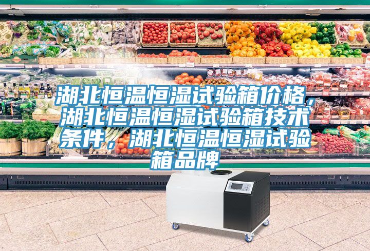 湖北恒溫恒濕試驗箱價格，湖北恒溫恒濕試驗箱技術條件，湖北恒溫恒濕試驗箱品牌