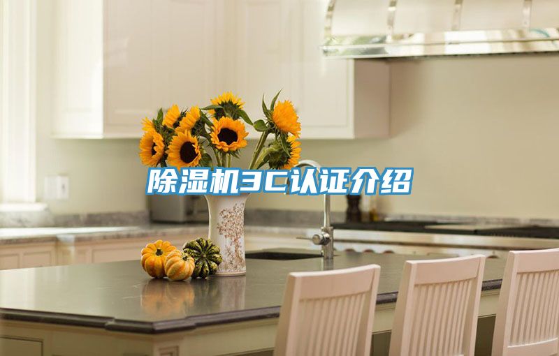 91看片网站3C認證介紹