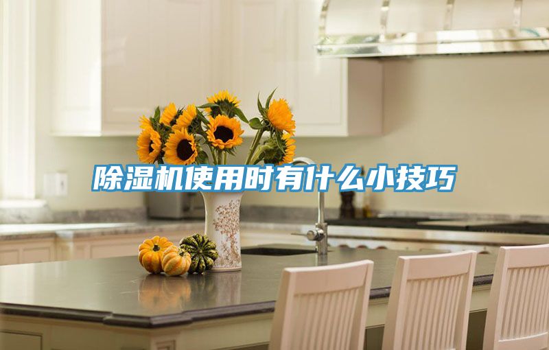 91看片网站使用時有什麽小技巧