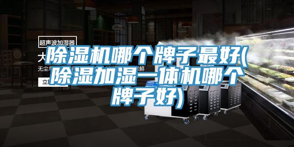91看片网站哪個牌子最好(除濕加濕一體機哪個牌子好)