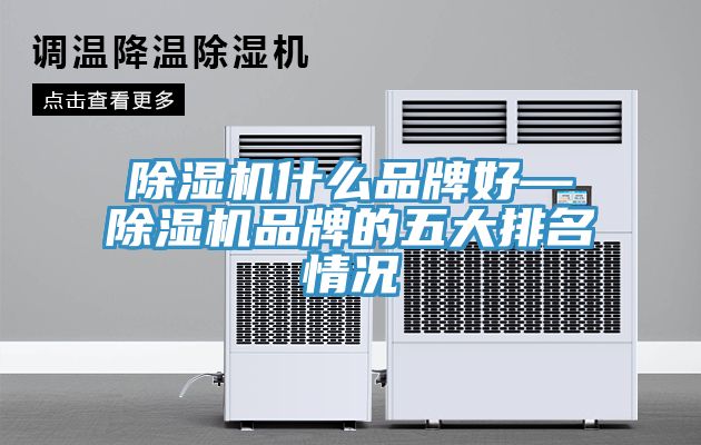 91看片网站什麽品牌好—91看片网站品牌的五大排名情況