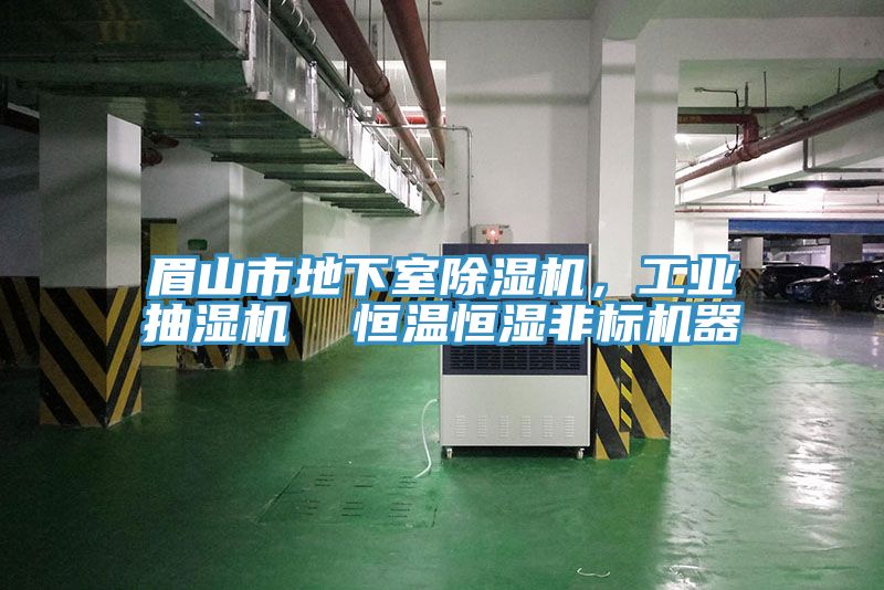 眉山市地下室91看片网站，工業抽濕機  恒溫恒濕非標機器
