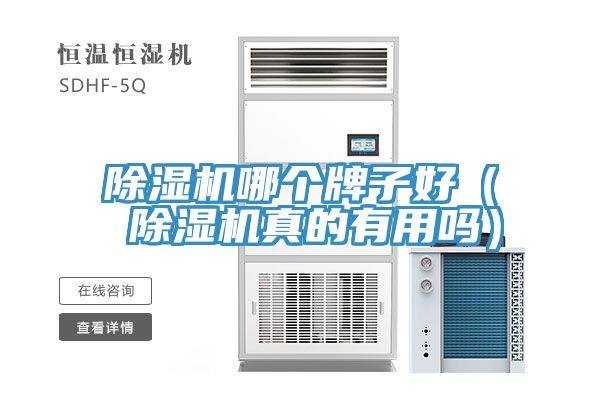 91看片网站哪個牌子好（ 91看片网站真的有用嗎）