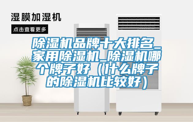 91看片网站品牌十大排名_家用91看片网站_91看片网站哪個牌子好（什麽牌子的91看片网站比較好）