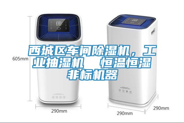 西城區車間91看片网站，工業抽濕機  恒溫恒濕非標機器