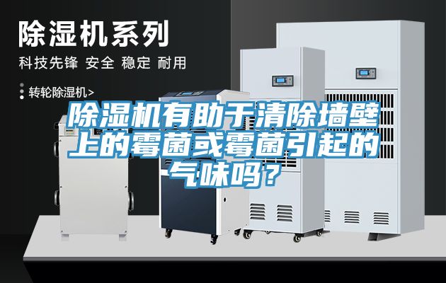 91看片网站有助於清除牆壁上的黴菌或黴菌引起的氣味嗎？
