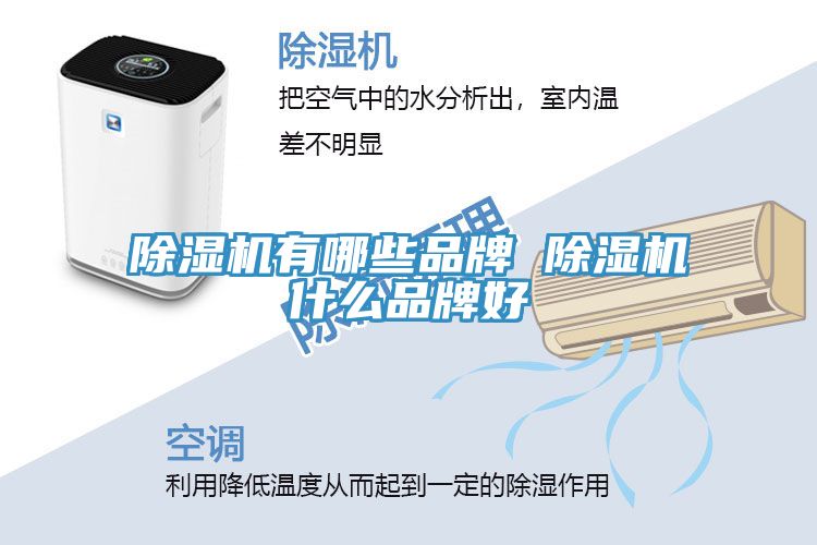 91看片网站有哪些品牌 91看片网站什麽品牌好