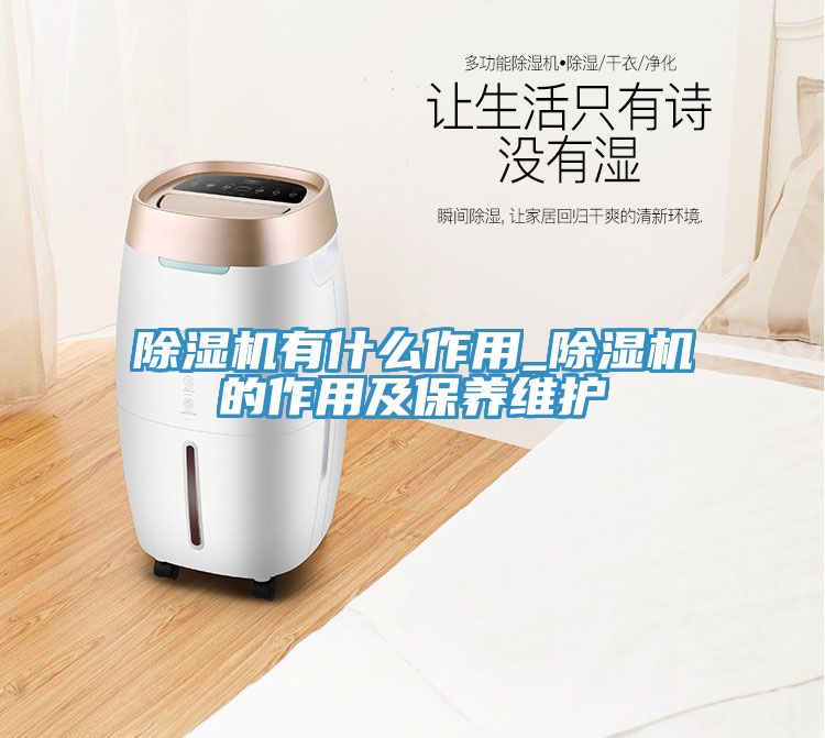 91看片网站有什麽作用_91看片网站的作用及保養維護