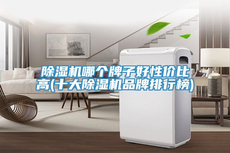 91看片网站哪個牌子好性價比高(十大91看片网站品牌排行榜)