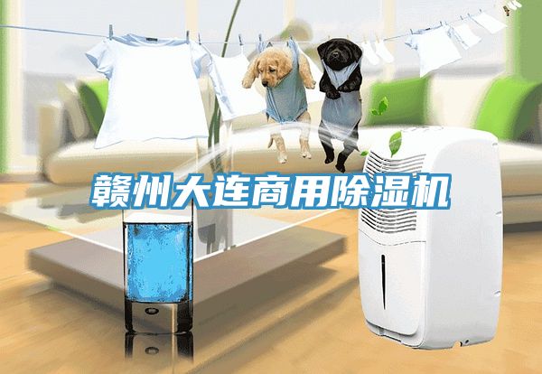 贛州大連商用91看片网站