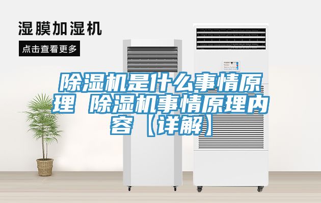 91看片网站是什麽事情原理 91看片网站事情原理內容【詳解】