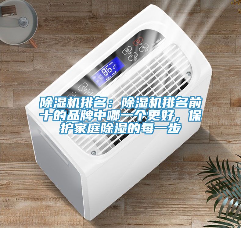 91看片网站排名：91看片网站排名前十的品牌中哪一個更好，保護家庭除濕的每一步