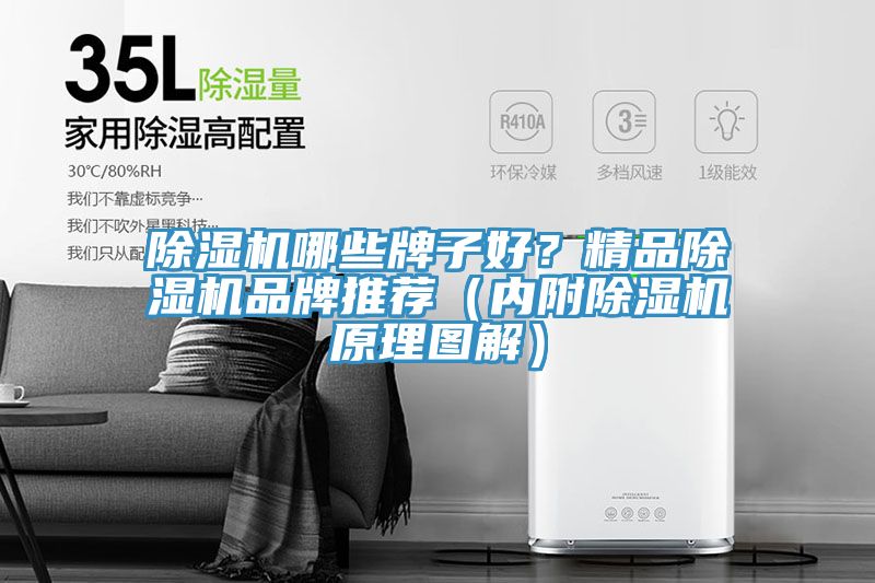 91看片网站哪些牌子好？精品91看片网站品牌推薦（內附91看片网站原理圖解）